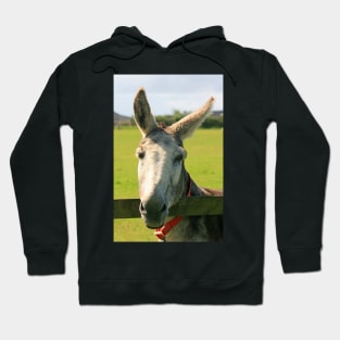What's Going On 'Ear Then? Hoodie